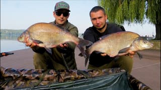 Звіти з риболовлі