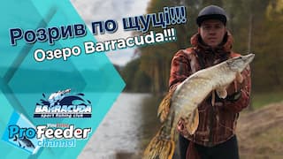Звіти з риболовлі