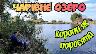 Звіти з риболовлі