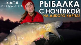 Звіти з риболовлі