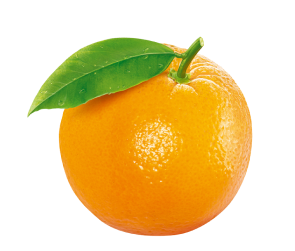 orange picture