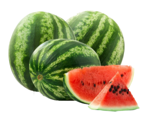 watermelon picture